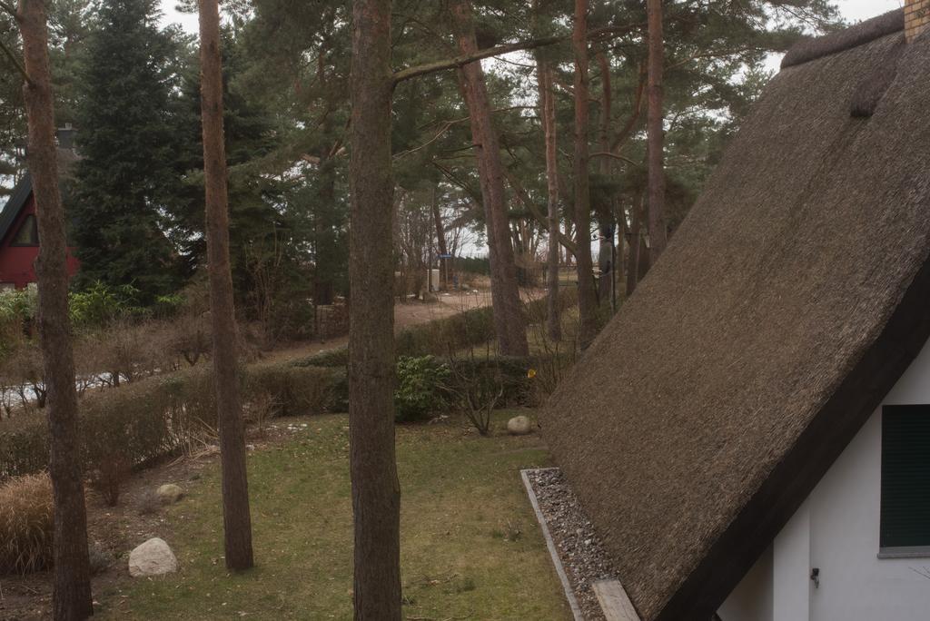 Reetdach-Ferienhaus In Quilitz Rankwitz Exterior foto